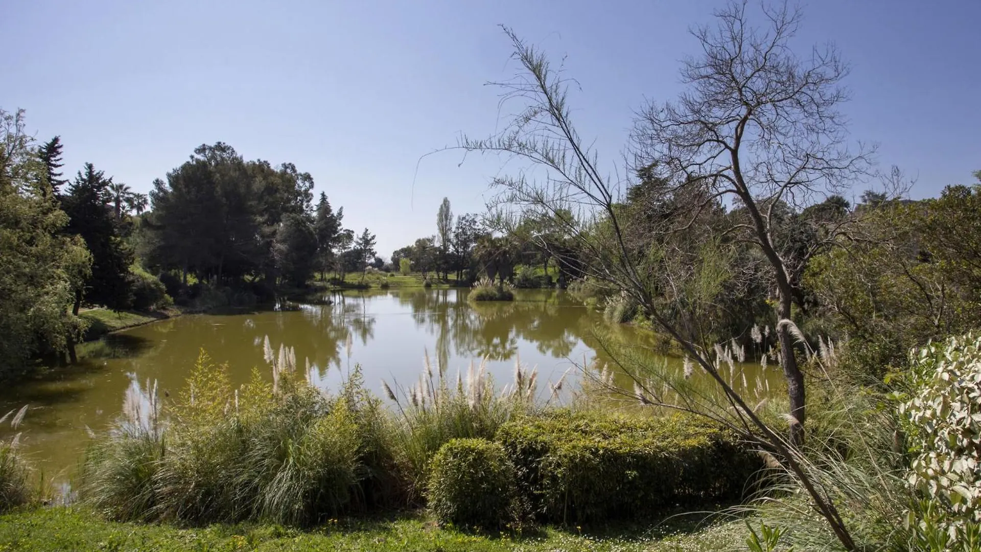 Apartment Vaugrenier Presidence By Interhome Villeneuve-Loubet